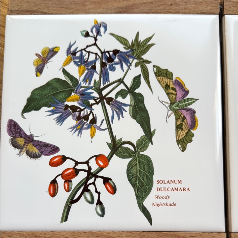 Portmeirion Botanical Cheese Board with Knife - Picture 5 of 5